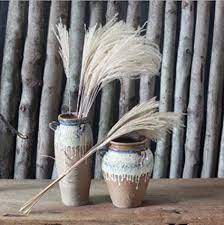 Shop.alwaysreview.com has been visited by 1m+ users in the past month Cococina 1 Bouquet 8 Heads Beautiful Home Decoration Dried Flowers Wild Pampas Small Reed Flowers Artificial Flowers Amazon De Kuche Haushalt
