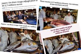 Prix du thon rouge au kilo. Record Un Thon Rouge De 278 Kg Vendu Pour 2 7 Millions D Euros