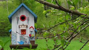Auch eine tolle und vor allem bunte geschenkidee für den garten oder den balkon. Geschenke Fur Den Garten Stilvolle Ideen Sat 1 Ratgeber