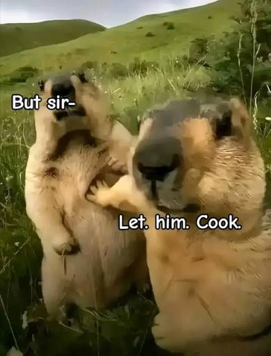 Hes Cooking Meme | TikTok