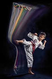 Taekwondo Belt Kick Martial Arts Photography Karate Martial Arts Martial Arts Kids