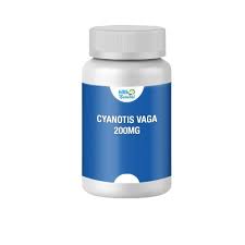 Image result for Cyanotis vaga