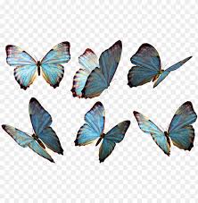 Hotoshop Clipart Beautiful Butterfly Flying Butterfly Png Image With Transparent Background Png Free Png Images Butterfly Background Butterfly Illustration Beautiful Butterflies
