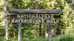 Dichte wälder und bergige höhen kennzeichnen hier das. Wer Sind Die Touristen Im Bayerischen Wald Bayern Sz De