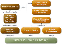 texas politics temporary and permanent party organization