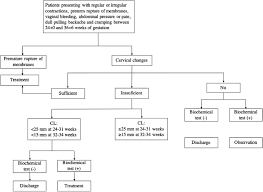 Image result for Preterm Labor