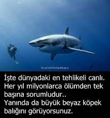 nese nin gozdeleri biliyor muydunuz komik internet fenomenleri kitap esprileri