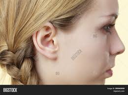 The different blonde styles you can rock are endless! Profile Side View Image Photo Free Trial Bigstock