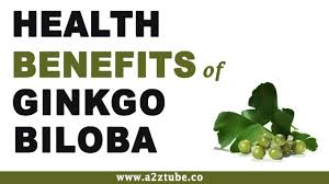 Ginkgo biloba health benefits includes fighting depression, anxiety and cognitive deficiency, accelerates cognitive functions, treat mental disorder, enhance eye sight, and improve blood circulation. Ginkgo Biloba Facts And Health Benefits
