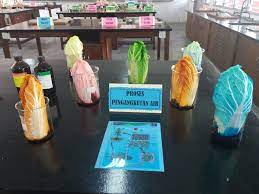 Specialize in compulsory, sekolah kebangsaan and sekolah menengah. Sekolah Menengah Kebangsaan Air Itam Smart Pameran Sains