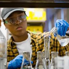 School of Natural Sciences