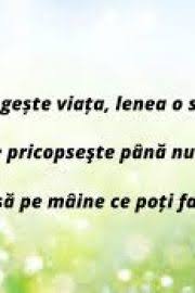 Raspunde la noua intrebari de logica si vezi daca te numeri printre cei mai inteligenti oameni. Test De LogicÄƒ Pentru Copii Kidibot BÄƒtÄƒliile CunoaÈ™terii