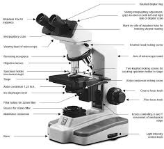 Limited time sale easy return. Make Science Room Choosing A Microscope Make