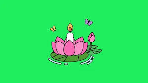 The blue lotus can be found on several different uk websites. Lotus Flower Animation Stock Video Footage Royalty Free Lotus Flower Animation Videos Pond5