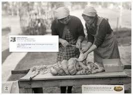 Dette er tv 2s offisielle facebookside. Tv2 Farmen Farmers 5 Print Ad By Mccann Oslo Adsspot Advertising Archive