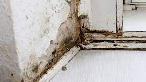 Der begriff der mängel in einer mietwohnung wird vom gesetz nicht ausdrücklich definiert. Diese Mangel In Der Wohnung Rechtfertigen Eine Kurzung Der Miete Geld