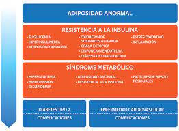 Una enfermedad crónica es aquella de larga duración, que se extiende en el tiempo por varios meses o años. Que Es La Enfermedad Cronica De Origen Cardiometabolico Articulos Intramed
