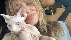 Fundraiser by Bailey Kimbell : Donate to save Soul's eyes