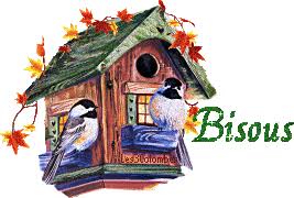 Résultat de recherche d'images pour "gif bonjour oiseau"