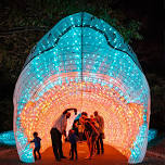 ✨Wanderlight Trail: Family Nights✨