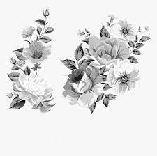 More images for flores vintage blanco y negro png » Ftestickers Watercolor Flowers Vintage Blackandwhite Flores Blanco Y Negro Png Transparent Png Transparent Png Image Pngitem