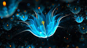 Available for hd, 4k, 5k desktops and mobile phones. Download Super Amoled Wallpapers Hd Gallery