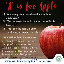 Time to get smart and geeky with the ultimate quiz about computer trivia. Apple Trivia Time How Many Did You Get Right Tell Me The Truth Fall Apple Apple Appleinfo Learningaboutapples Crabapples Trivia Time Apple Trivia