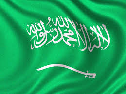 علم السعودية 2018 صور العلم السعودي عالم الصور Neon Signs Photography Inspiration Portrait Image