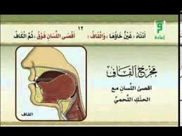 مخرج حرف القاف youtube language convenience store products