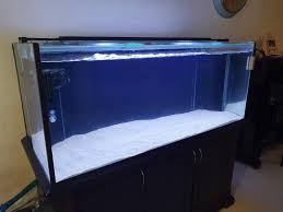 Aquariums for every fish lover. 5 Feet Aquarium 5x2x2 Ft C W Cabinet Home Furniture Others On Carousell