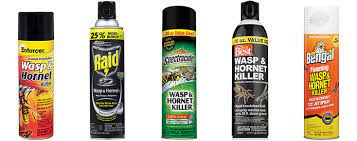 How To Safely Use Wasp And Hornet Spray Do It Best World S Largest Hardware Store