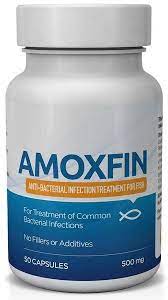 Fish Mox Fish Mox Forte Amoxicillin Efishmox Fish Antibiotics Amoxicillin Survival Prepping