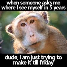 images?q=tbn:ANd9GcT10tQgaU1TLlSVmZnjyzT