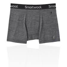 Details About Smartwool Mens Smartwool Merino Sport 150 Boxer Briefs Grey Sports Outdoors
