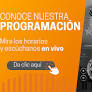 GrupoVx