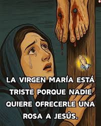 🎬✨ Diez Datos Desconocidos Sobre el Cine 🎬 #Films El primer filme jamás  realizado fue """"Roundhay Garden Scene"""" en 1888, dirigido por el  inventor francés Louis Le Prince. La primera película de