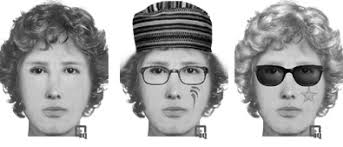 It allows you to swap faces with your favourite movie stars, computer game characters, internet memes, and even statues. Forensic Software Program Csi Lesson Plans Faces Education Tool