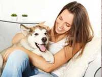 Check spelling or type a new query. 2019 Average Pet Sitting Rates In Plano Tx Vip Pet Services