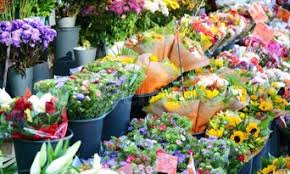 We did not find results for: Sydney Flowers By Tesselaar Flowers