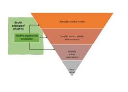 Novel insights into the cognitive, emotional, and experiential dimensions  of stakeholder acceptance of wildlife management | Scientific Reports