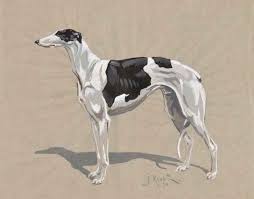 We did not find results for: J Rivet Black And White Greyhound Mutualart