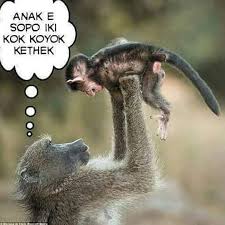 Gratis untuk komersial siap pakai untuk bisnis tanpa atribut. 61 Ide Humor Cartoon Jokes Lucu Gambar Lucu
