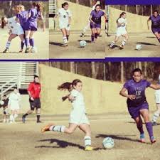 I grew up in cary, north carolina, and have recently moved to the garner area after getting married. Brittany Hayes Hudl