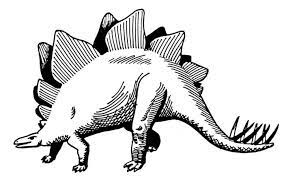 Horses, giraffes, zebra, lions, tigers & more canvas prints. Black White Stegosaurus Drawing Dinosaur Drawing Dinosaur Silhouette Dinosaur Pictures