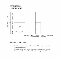 No fue hasta en 1959 en donde mollaret y goulon. Vista De Definicion De La Muerte Cerebral Persona Y Bioetica