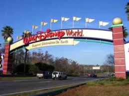 Walt Disney Companys Organizational Structure For