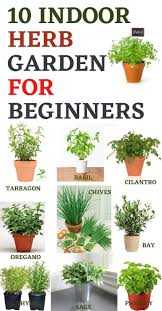 With a little care and attention, they can provide your kitchen with fresh herbs all year long. 10 Best Indoor Herb Gardens For Beginners Indoor Herb Garden Indoor Herb Garden For Beginners Herb Garden For Beginners