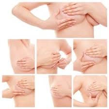 Les glandes mammaires sont, embryologiquement. Mastite Symptomes Traitement Definition Docteurclic Com