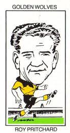 1989 West Midlands Collectors Centre Golden Wolves Soccer