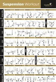 image result for trx beginner routine pdf resistance